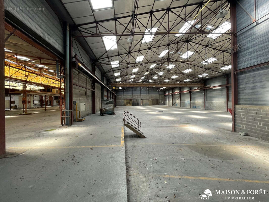 Commerce à CHAMPOULET