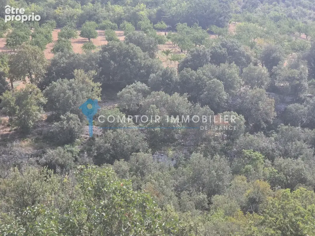 Terrain forestier vallonné - photo 3