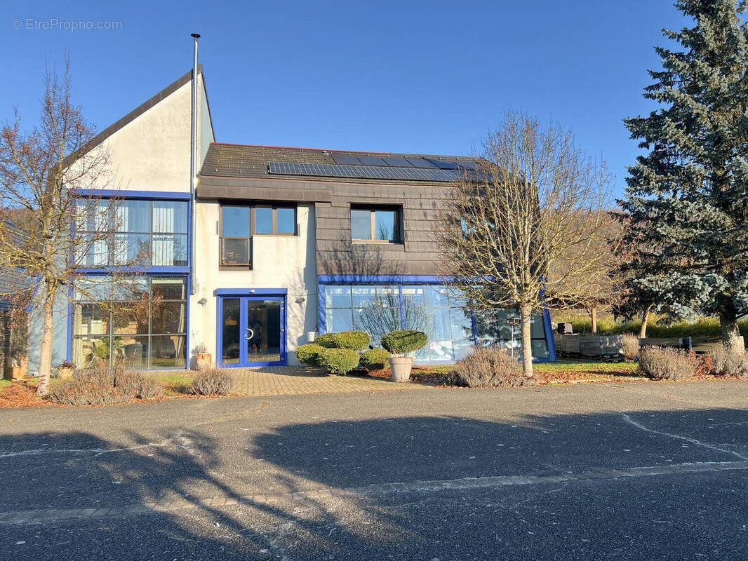 Appartement à SENTHEIM