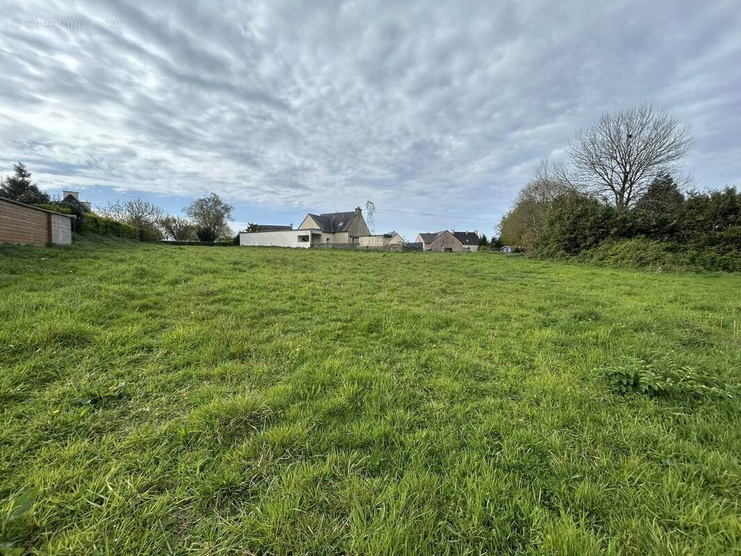 Terrain à LA MARTYRE