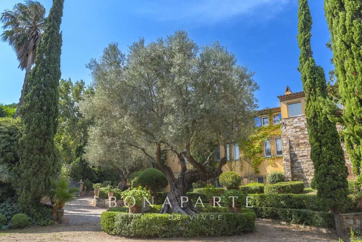 Maison à RAMATUELLE