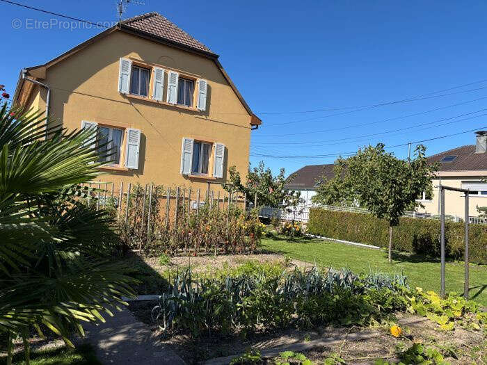 Maison à BOLLWILLER