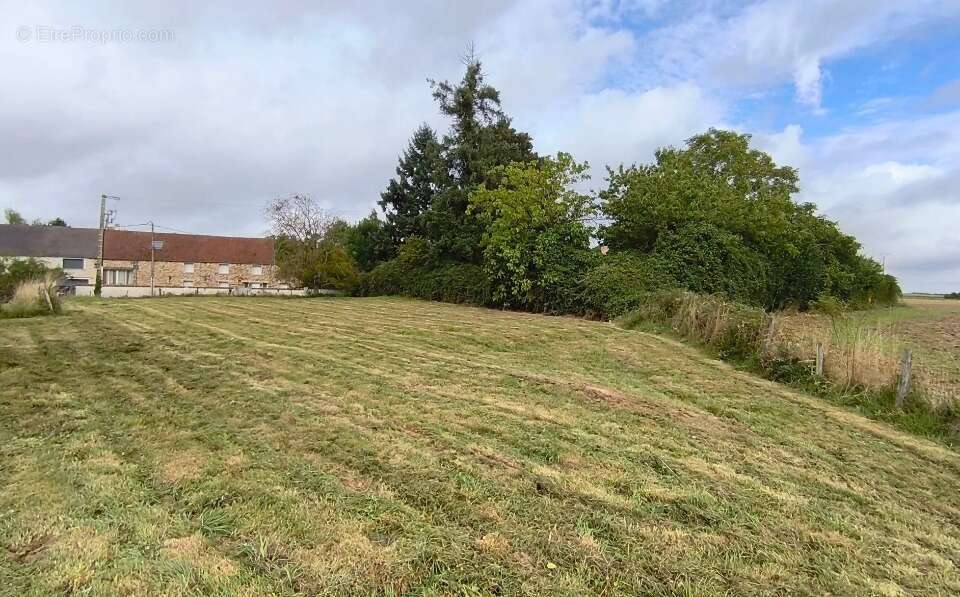 Terrain à GREZ-SUR-LOING