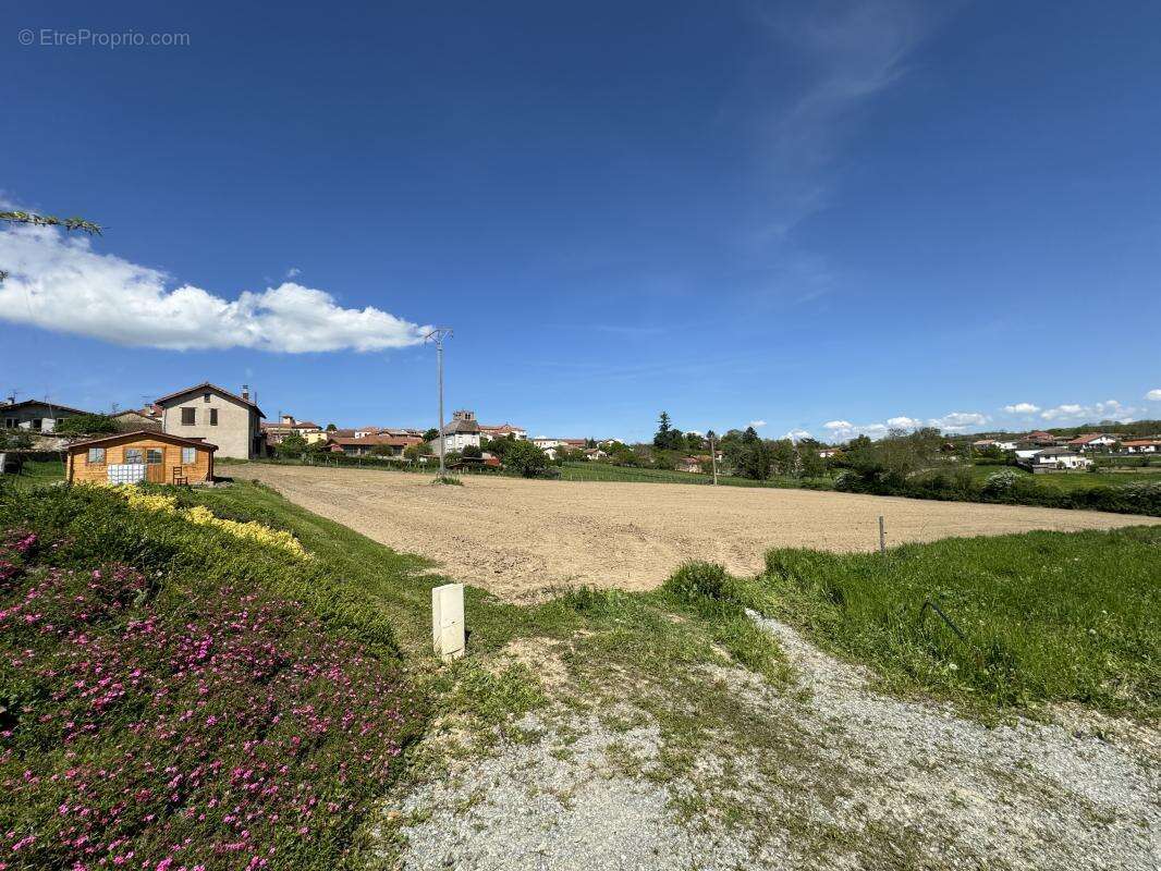Terrain 1 339 m² à vendre à Cremeaux (42260) - photo 3