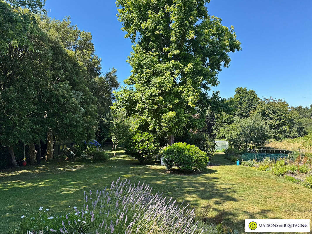 Maison à MOELAN-SUR-MER