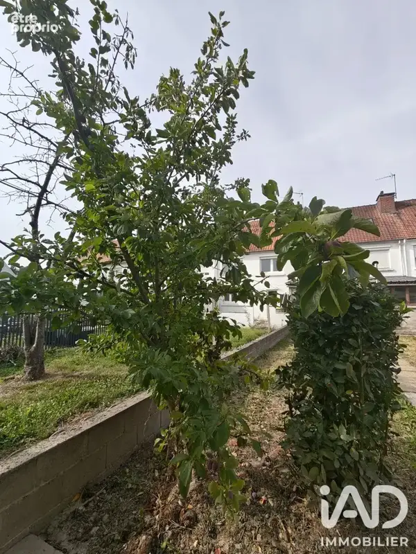 Photo 1 - Maison à LONGUENESSE