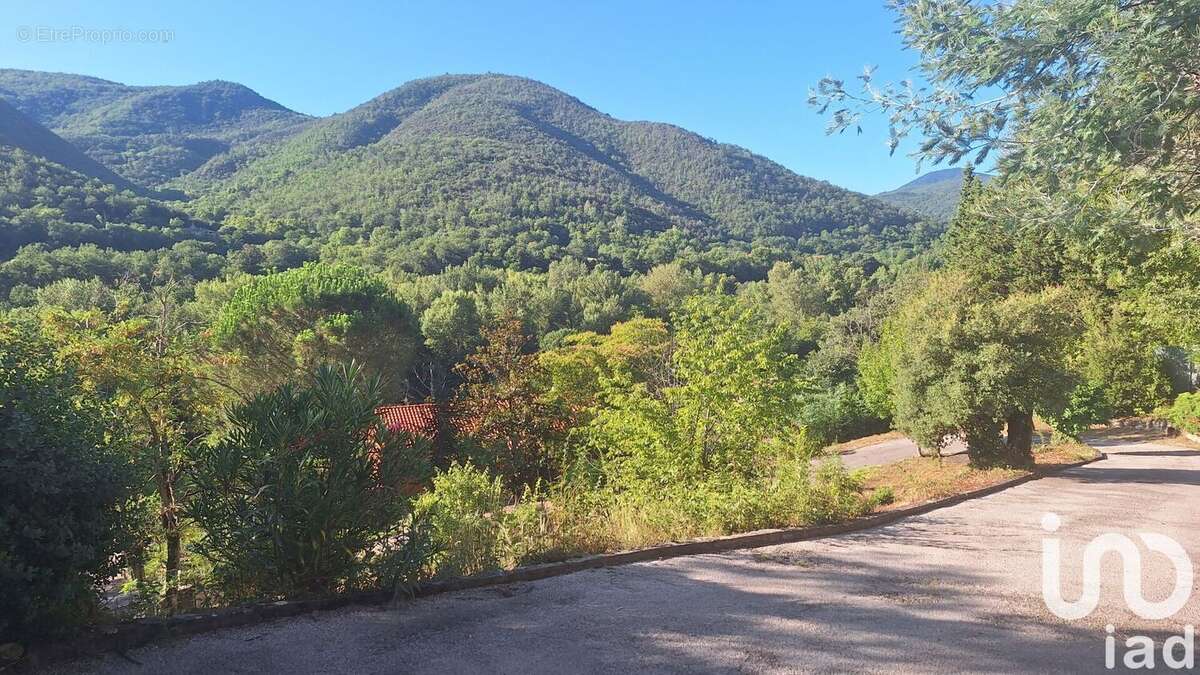 Photo 5 - Maison à ARLES-SUR-TECH