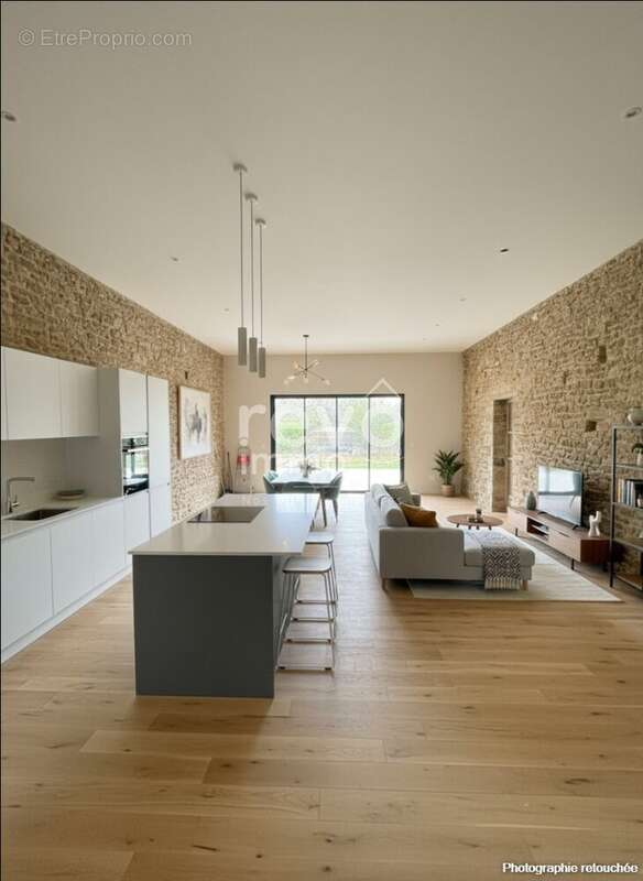 Maison à VIEILLEVIGNE