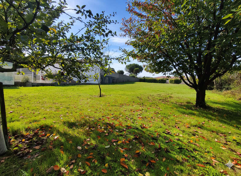 Terrain à MESCHERS-SUR-GIRONDE