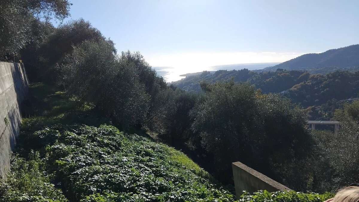 Terrain à MENTON