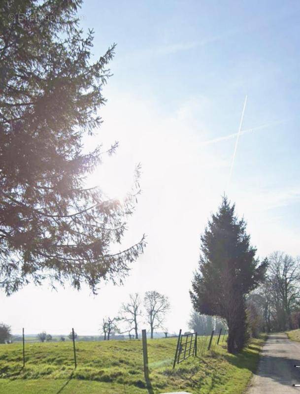 Terrain à FONCQUEVILLERS