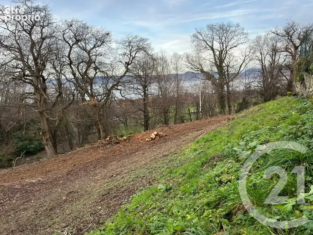 Terrain 1 458 m² à vendre à Maxilly-Sur-Leman (74500) - photo 8