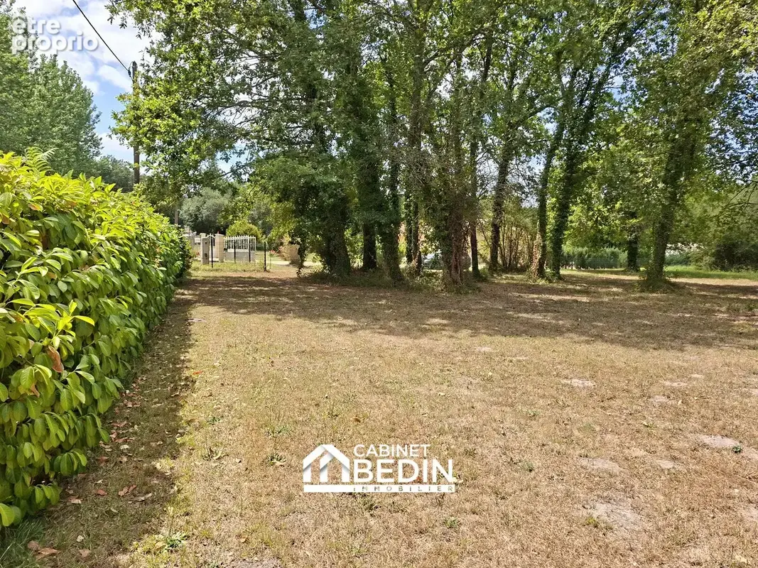 Terrain 2 400 m² à vendre à Leogeats (33210) - photo 6