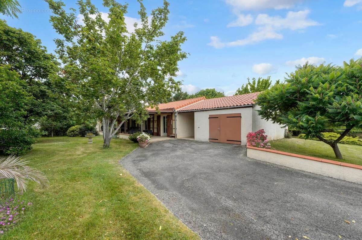 Maison plain-pied avec dépendances et parc arboré – Villemur/Villaudric - photo 3