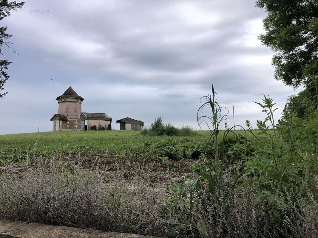 Maison à BRIVES-SUR-CHARENTE