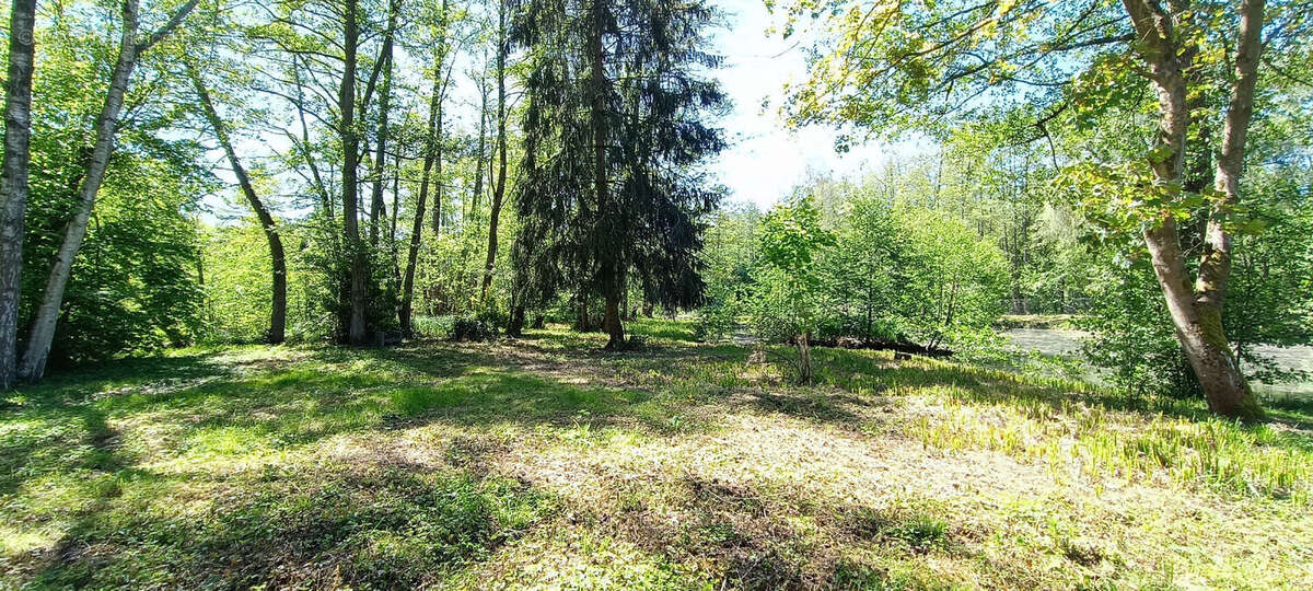 Terrain à LA FERTE-CHEVRESIS
