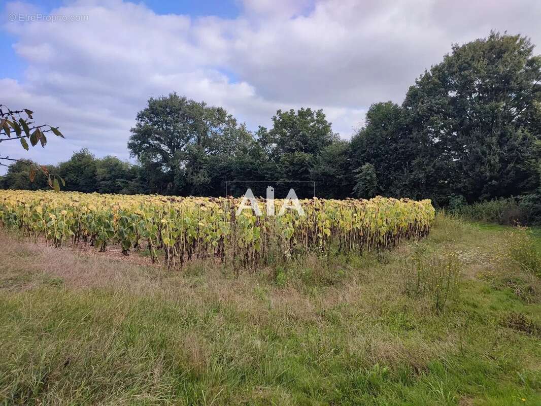 Maison à VILLEFAGNAN