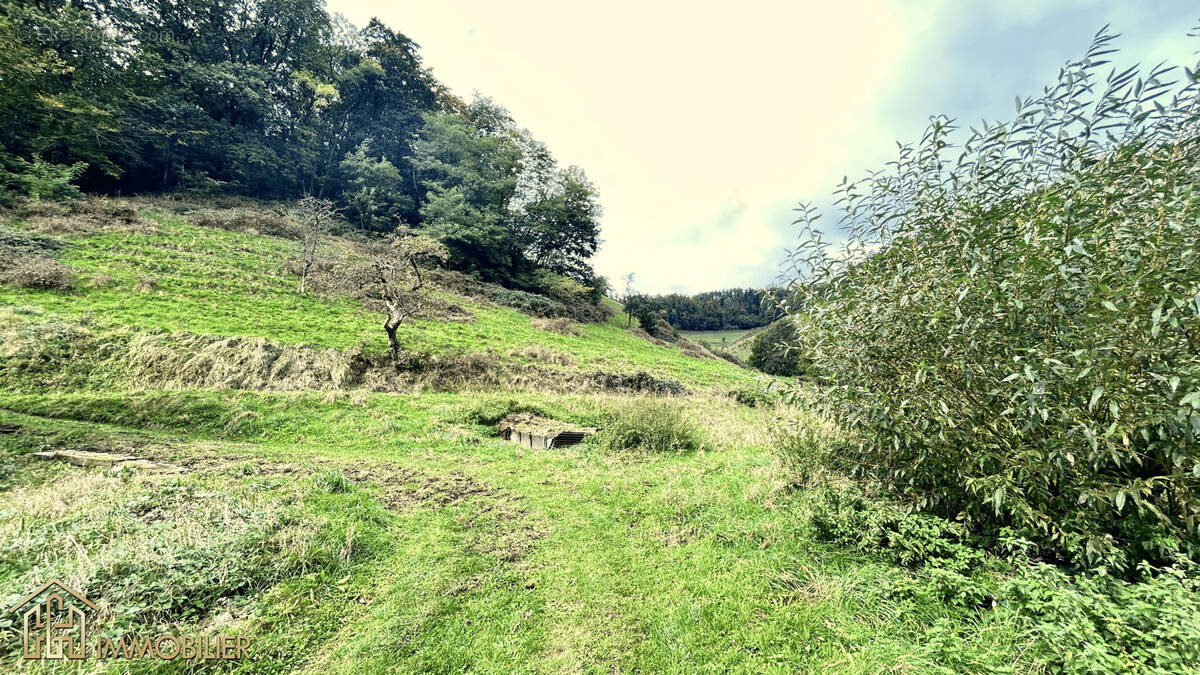 Maison à SAINTE-MARIE-AUX-MINES