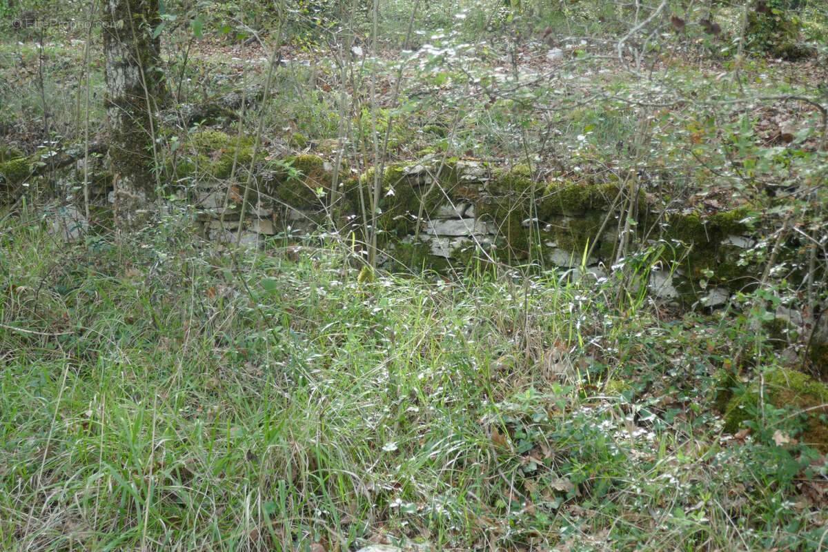 Terrain à LABASTIDE-DU-VERT