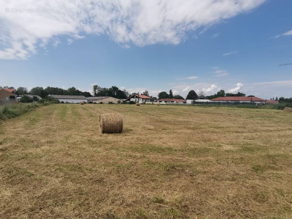 Terrain à JUILLAN
