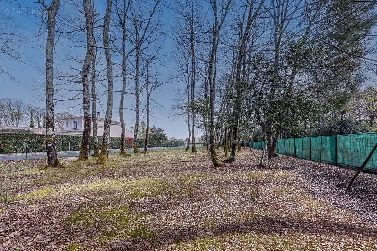 Terrain à BREUILLET