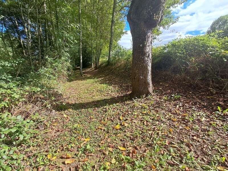 Maison à SAINT-PAUL