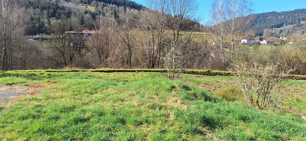 Terrain à VENTRON