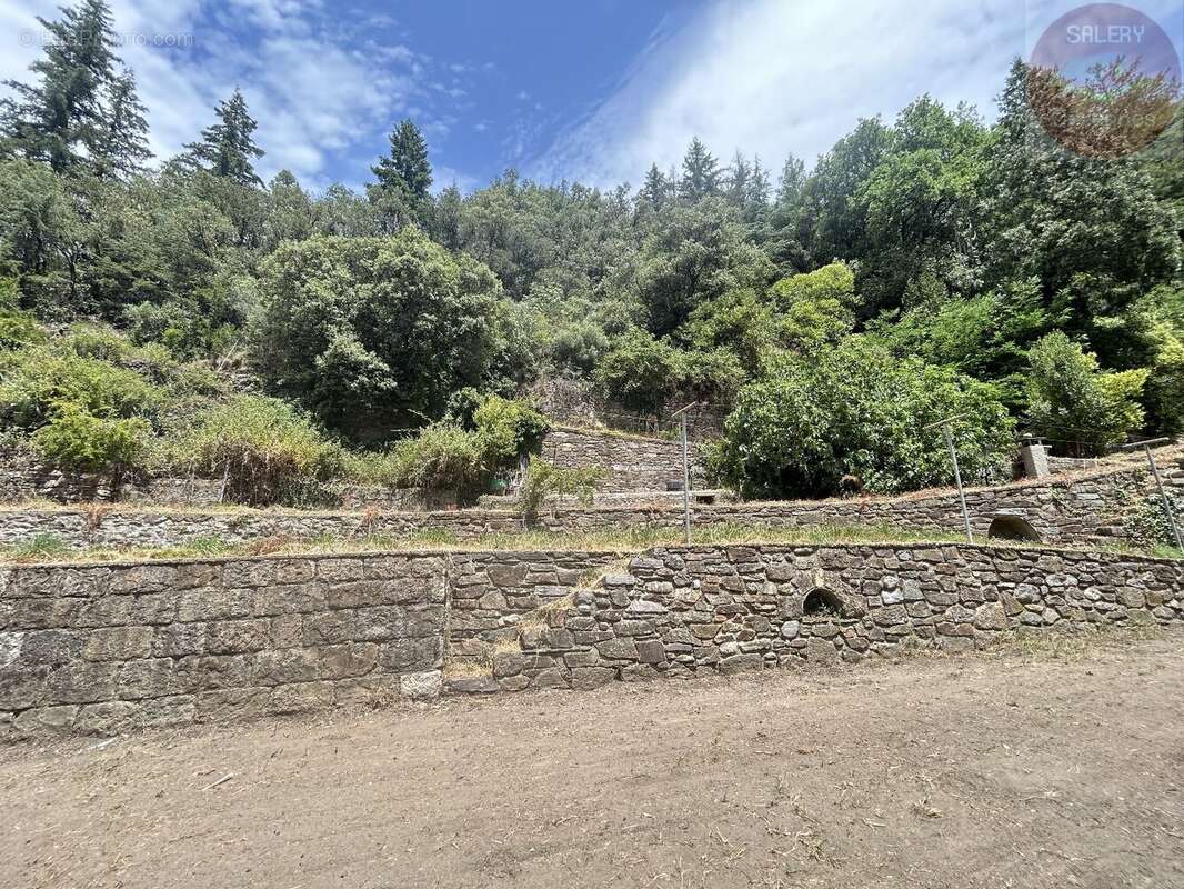Maison - dépendance - source - 5 400 m² - photo 14