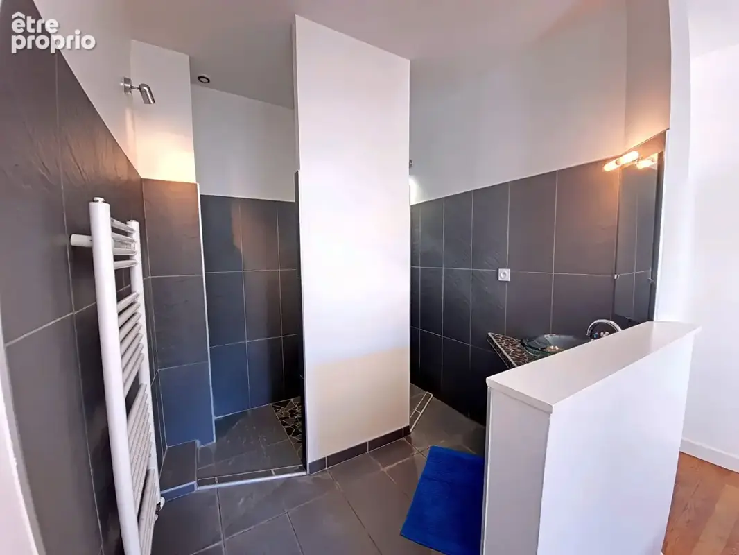 Appartement Saint Etienne 2 pièce(s) 64 m2 - photo 6