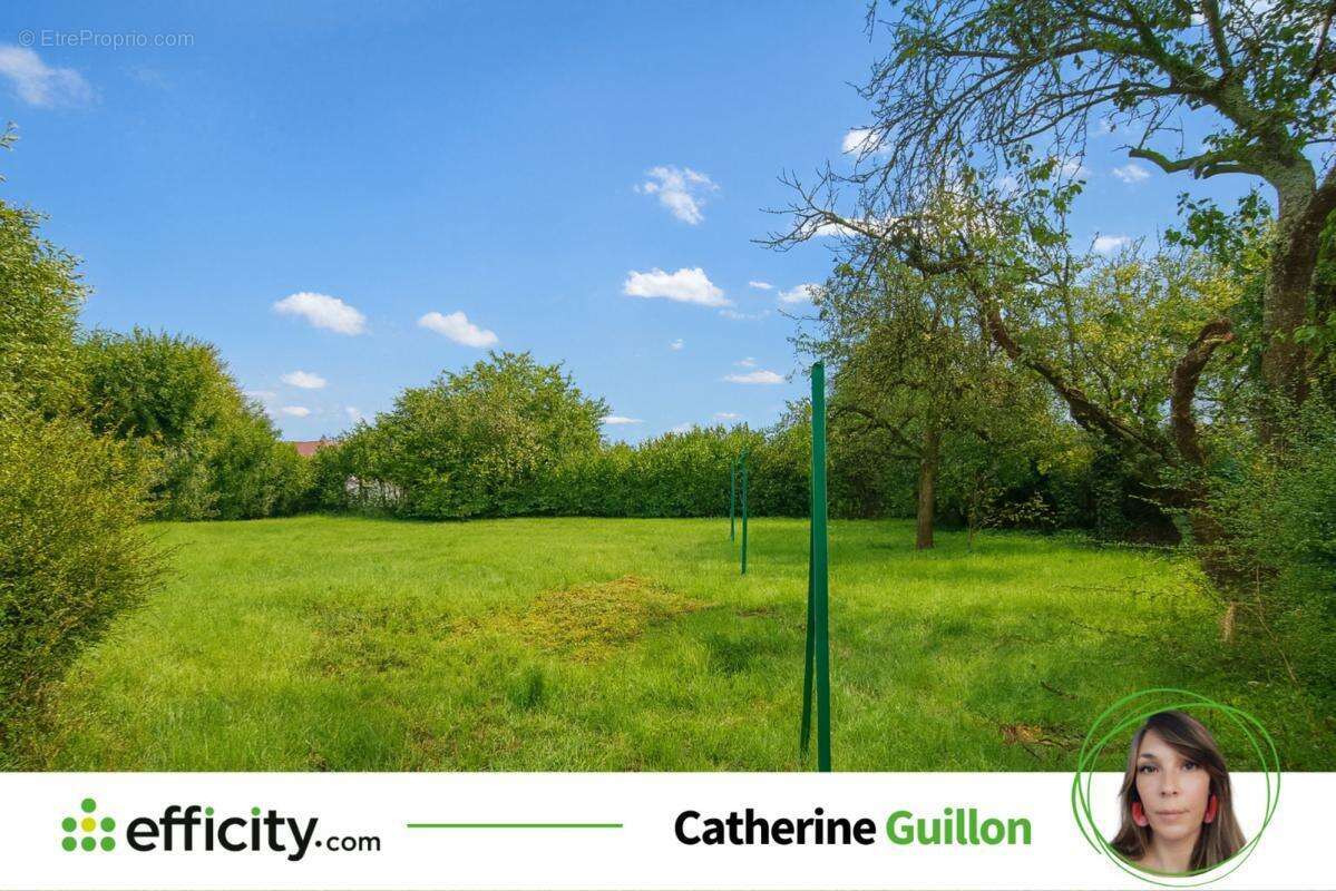 Maison à MIGNE-AUXANCES