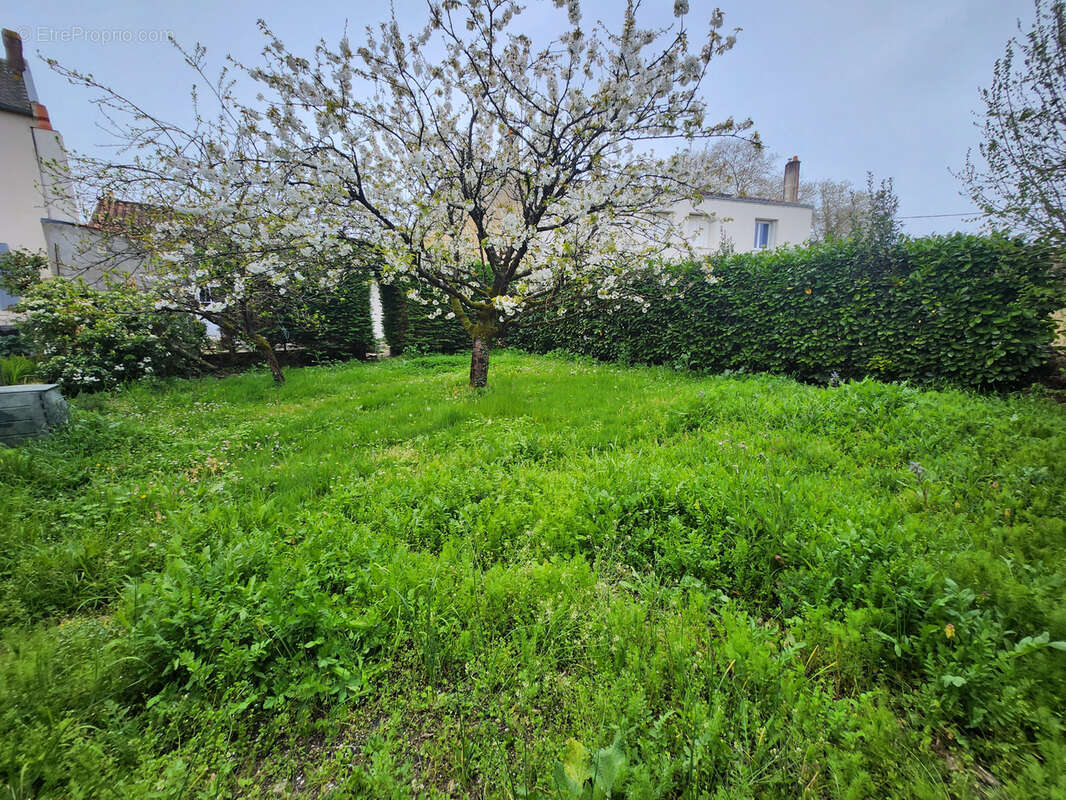 Maison à LUCON