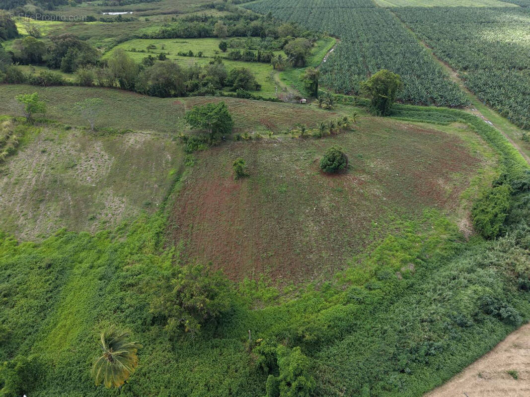 Terrain à LE LAMENTIN