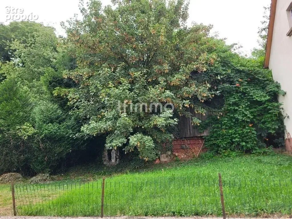 maison à Buhl - photo 7