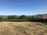 Terrain à LA ROCHE-BLANCHE