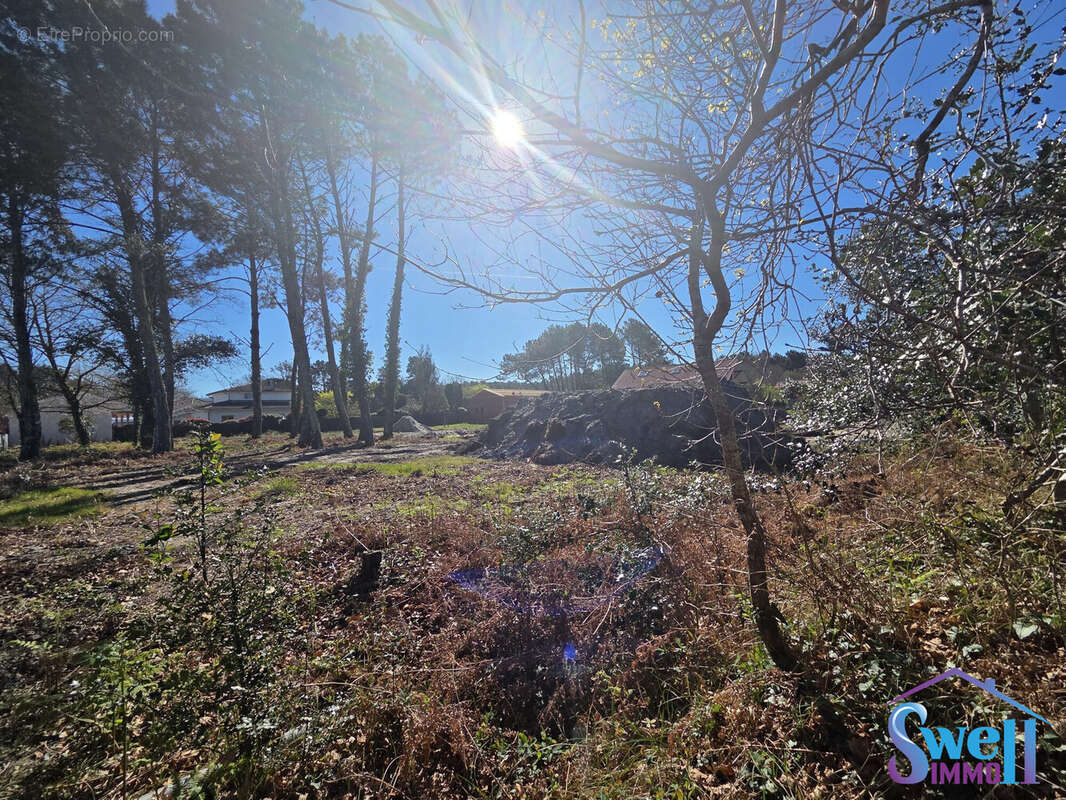 Terrain à MOLIETS-ET-MAA