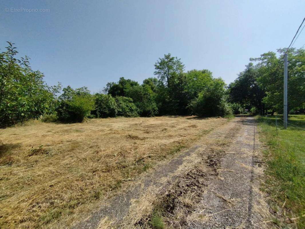 Terrain à CASTELNAU-MONTRATIER