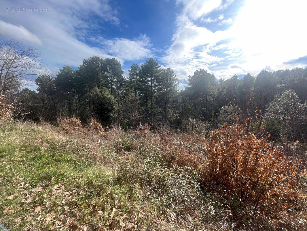 Terrain à RIBES