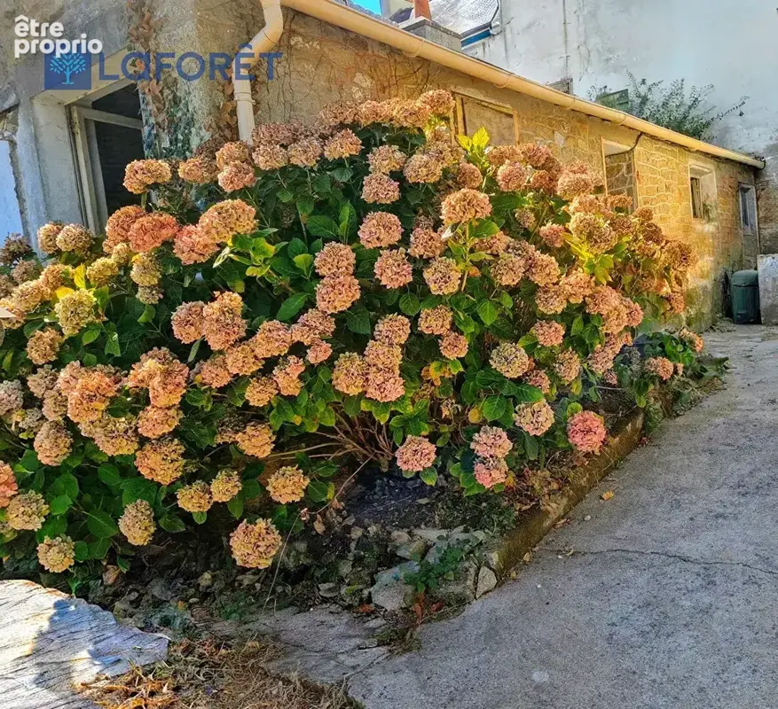 Maison Locmiquelic - photo 12