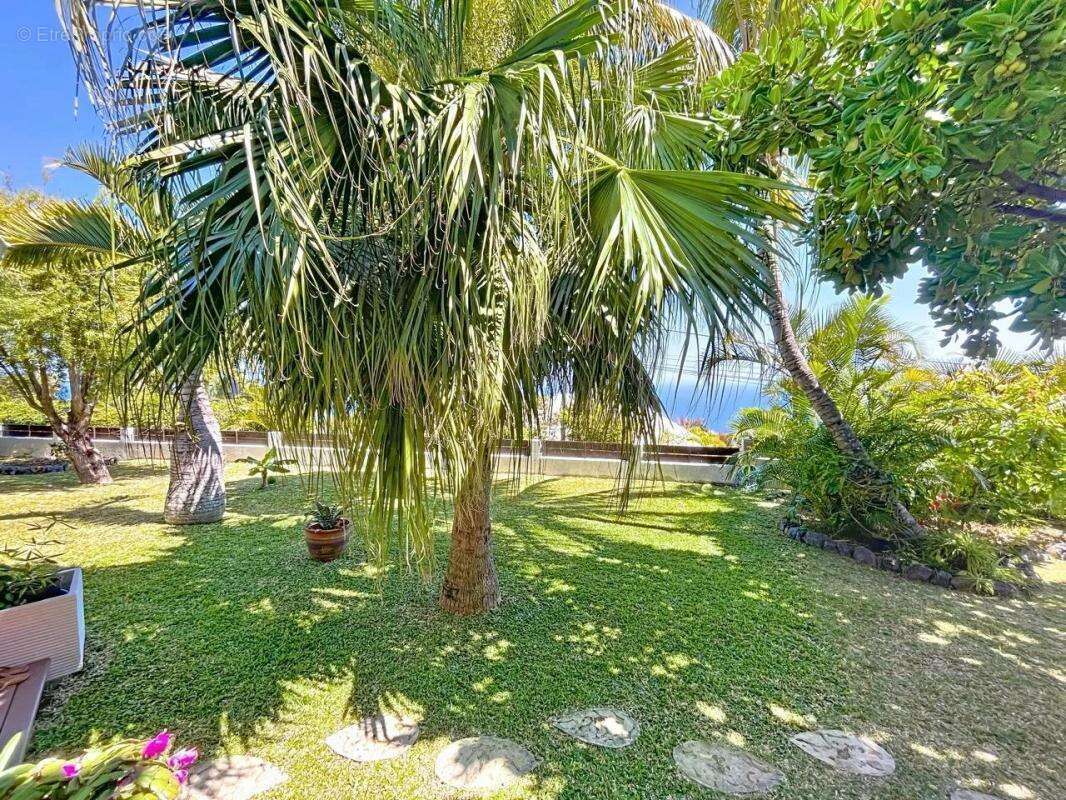 Maison à LES AVIRONS