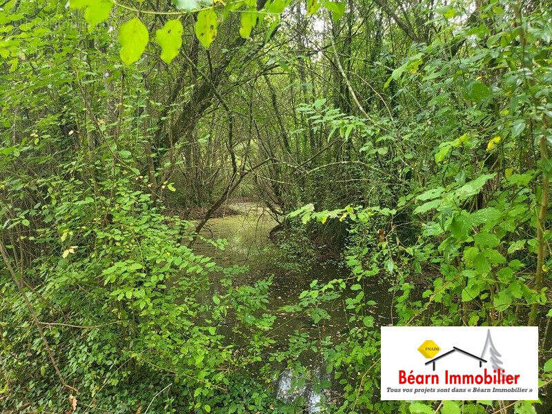 Terrain à AUTEVIELLE-SAINT-MARTIN-BIDEREN