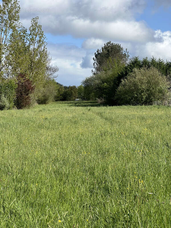 Terrain à LA ROCHE-CHALAIS