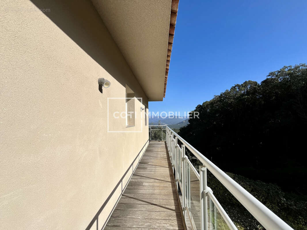 Maison à BELVEDERE-CAMPOMORO