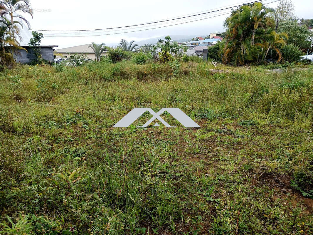 Terrain à LE TAMPON