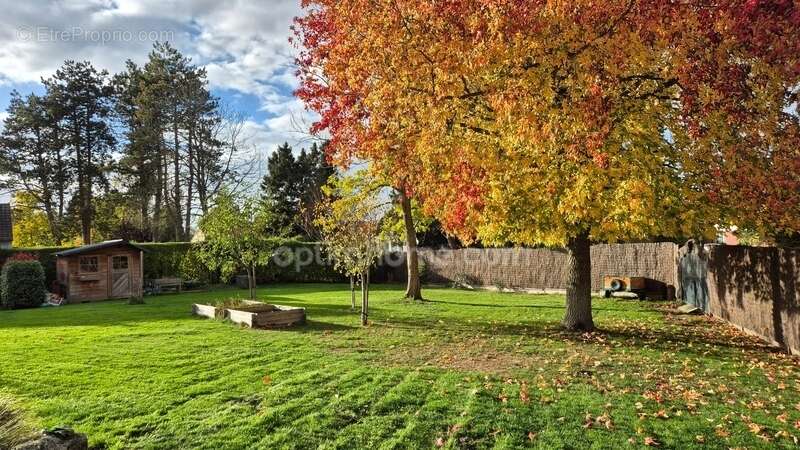 Maison à WERVICQ-SUD