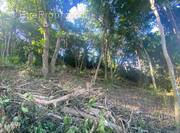 Terrain à SCHOELCHER