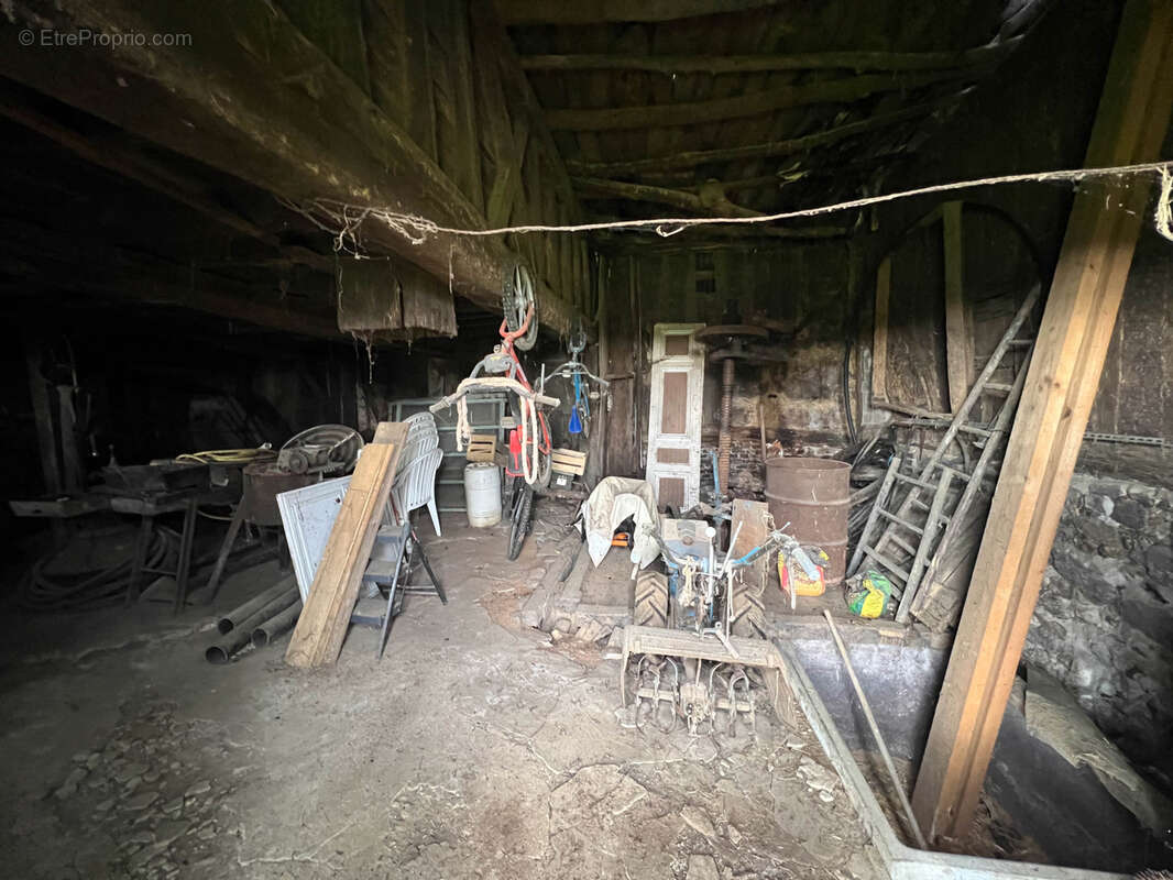 Maison de maître au fond d'une allée au calme avec annexes - photo 34