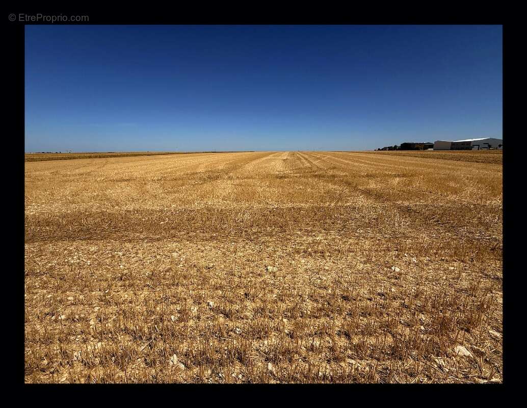 Terrain à vendre à Clavette (17220) - photo 9