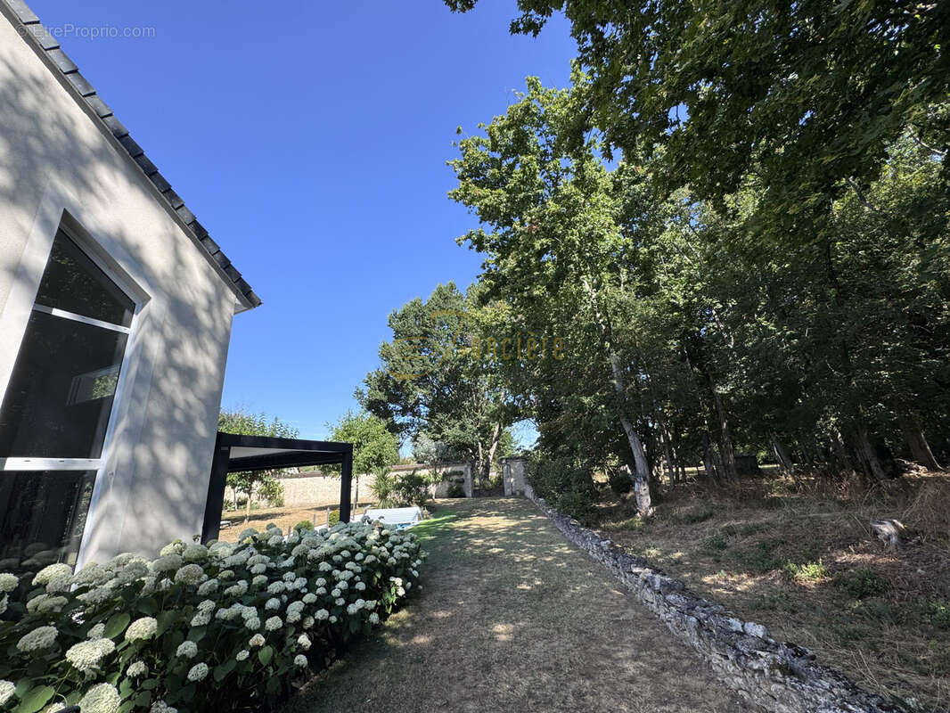 Maison d'architecte avec piscine au bord d'un bois classé - photo 19