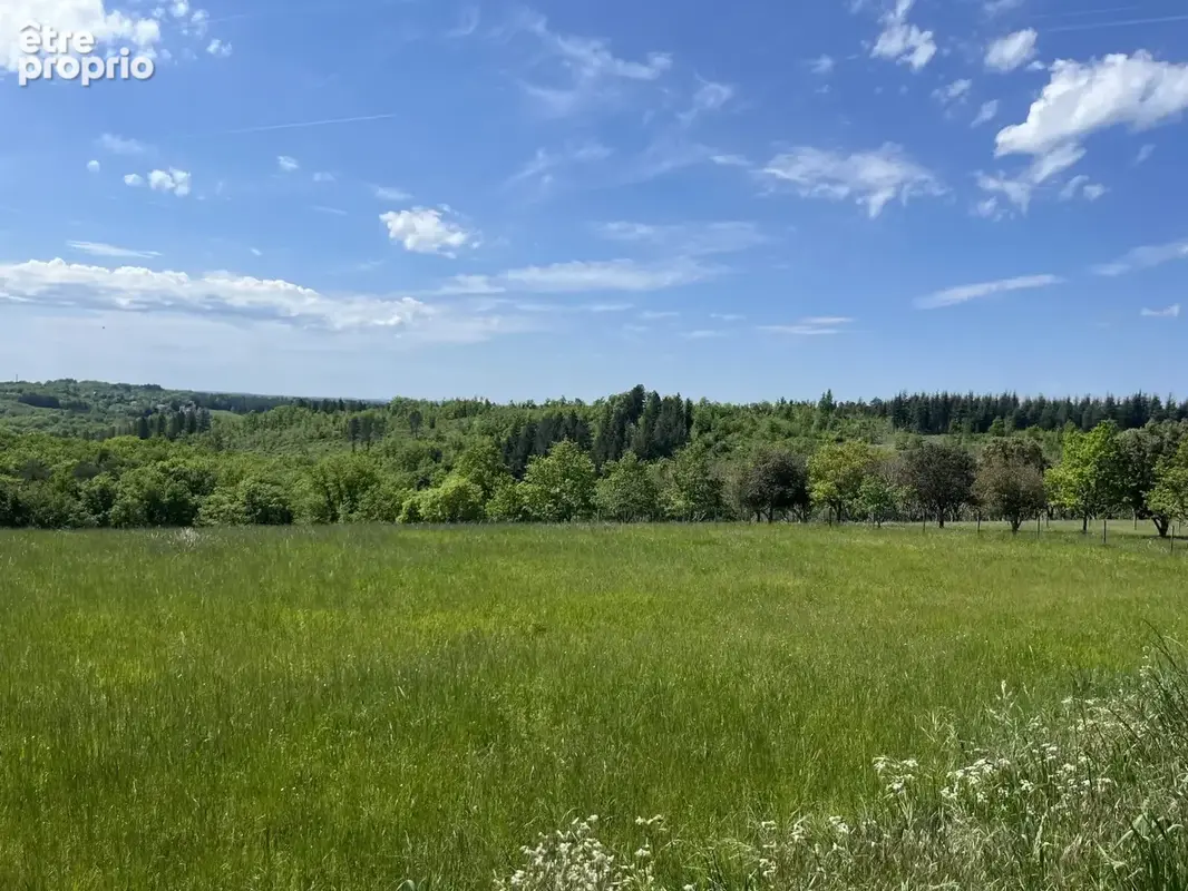 Terrain à LE ROC