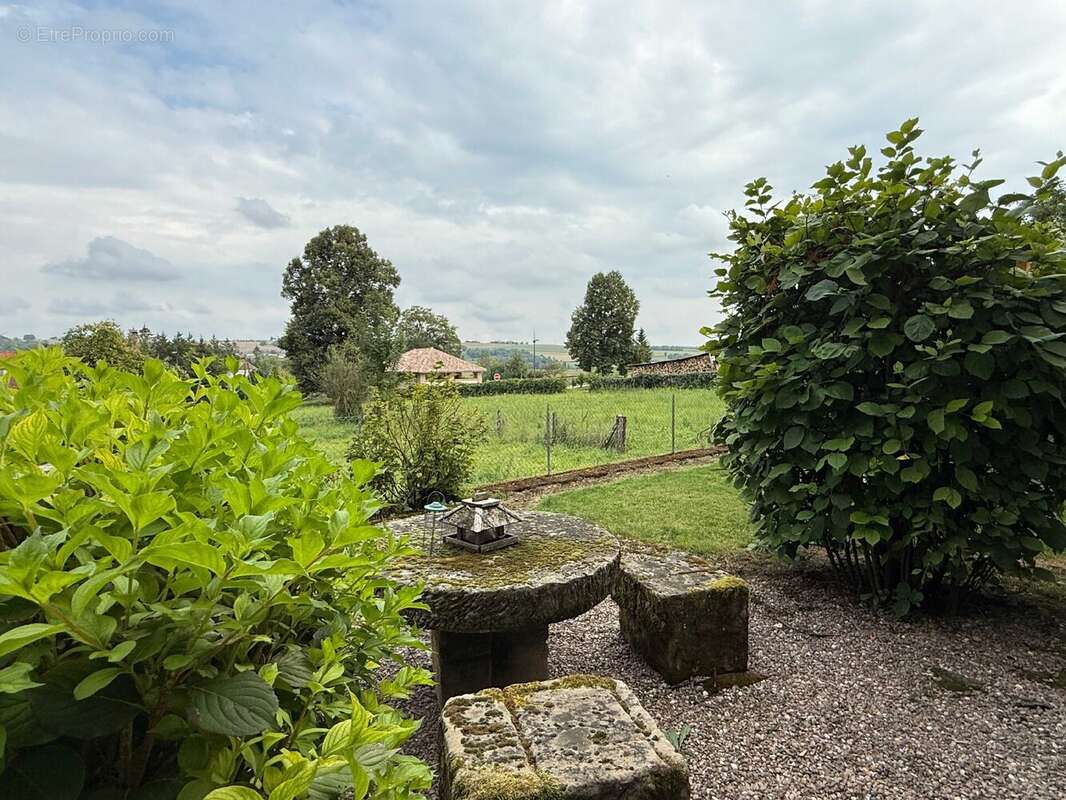 Maison à CHATILLON-SUR-SAONE